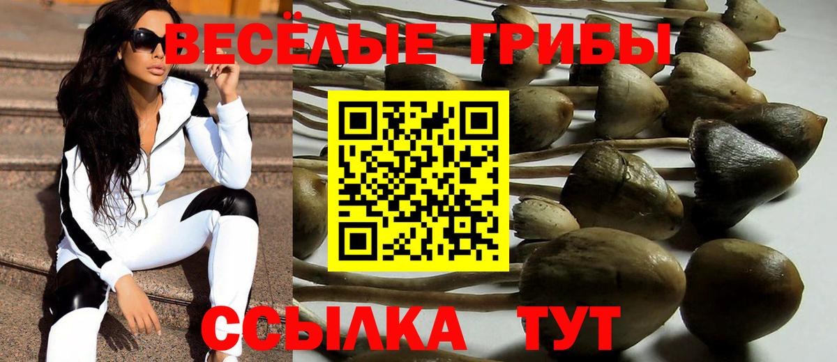 Галлюциногенные грибы Magic Shrooms Сланцы