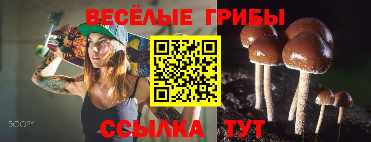Псилоцибиновые грибы Cubensis  Галлюциногенные грибы GOLDEN TEACHER  Вход с VPN  Сланцы 